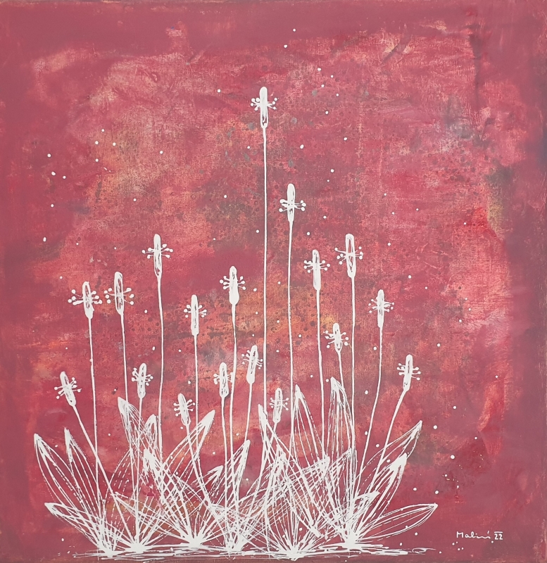 50cca 50x50cm | volný