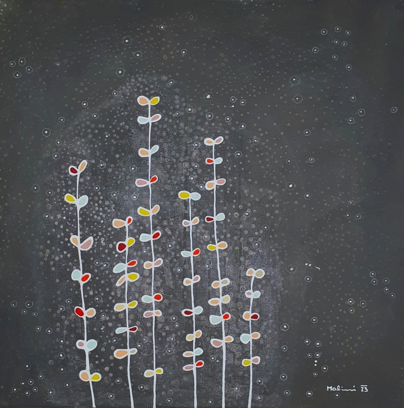 50cca 50x50cm | volný
